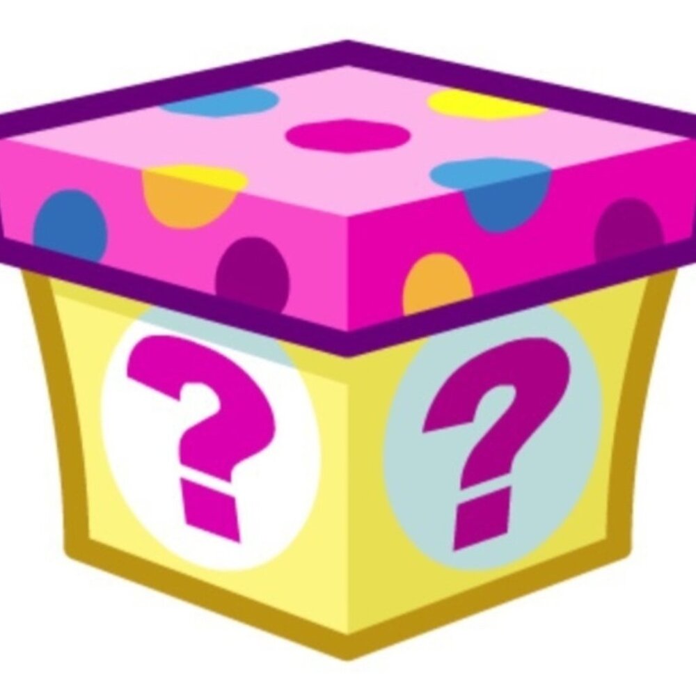 Mystery Box of a  minimum of 13 Womens Clothing items EUC